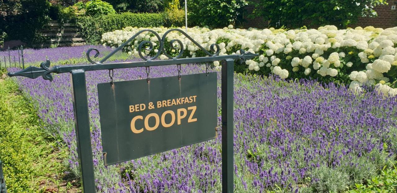 Bed & Breakfast Coopz 도에틴쳄 외부 사진
